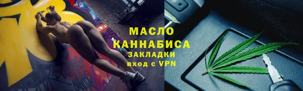 шишки Новозыбков